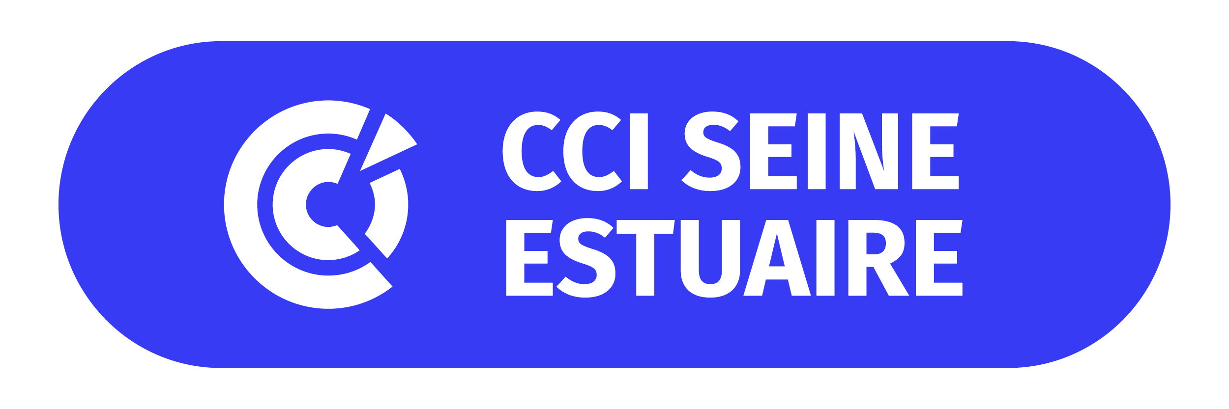 Logo_CCISE_2022_bleu_web.jpg
