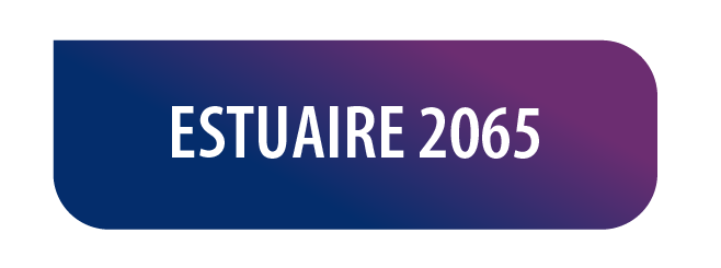estuaire